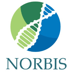 Norbis sin logo